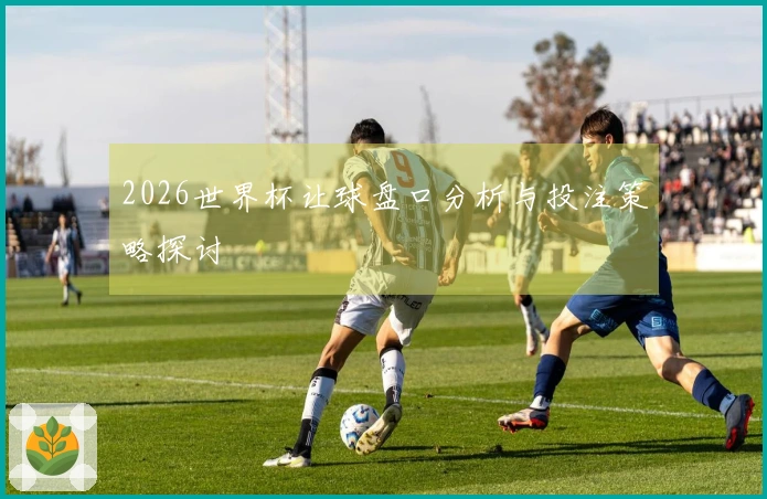 2026世界杯让球盘口分析与投注策略探讨