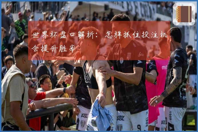 世界杯盘口解析：怎样抓住投注机会提升胜率