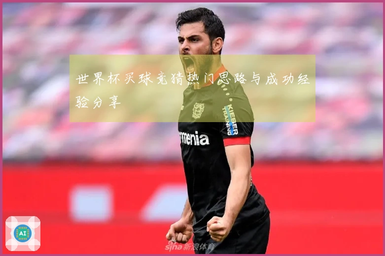世界杯买球竞猜热门思路与成功经验分享