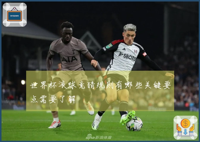 世界杯滚球竞猜规则有哪些关键要点需要了解