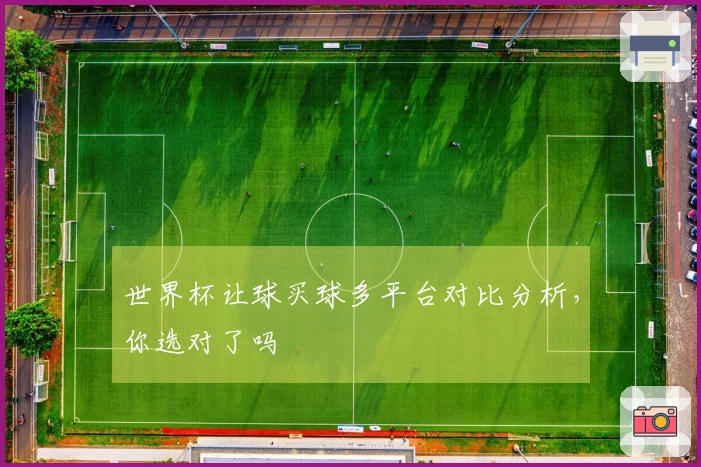 世界杯让球买球多平台对比分析，你选对了吗