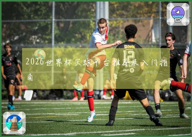 2026世界杯买球平台推荐及入门指南