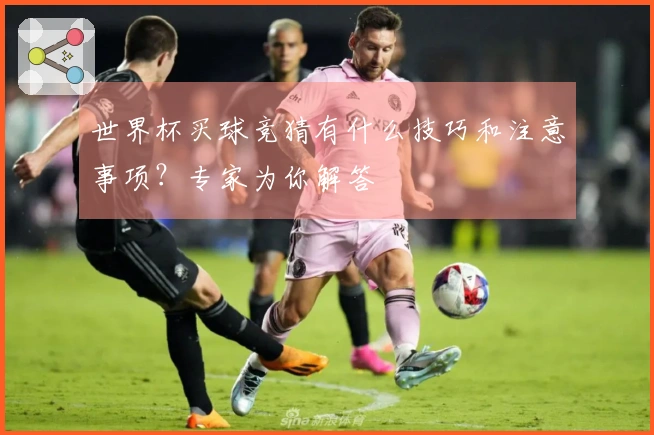 世界杯买球竞猜有什么技巧和注意事项？专家为你解答