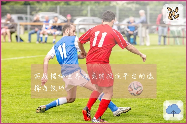 实战揭秘世界杯竞猜投注平台的选择与技巧