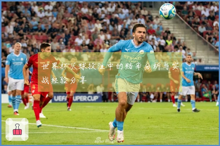 世界杯买球投注中的赔率分析与实战经验分享