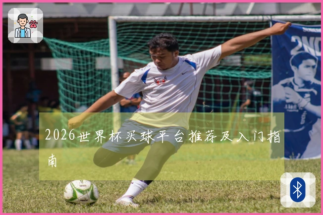 2026世界杯买球平台推荐及入门指南