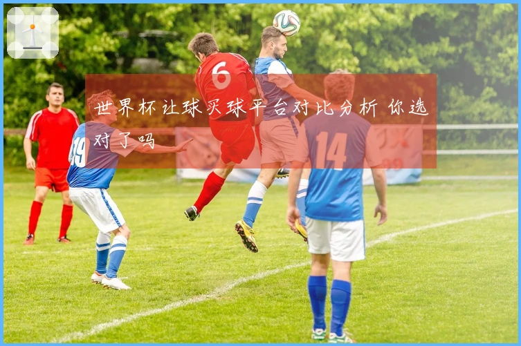 世界杯让球买球平台对比分析 你选对了吗