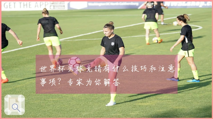 世界杯买球竞猜有什么技巧和注意事项？专家为你解答