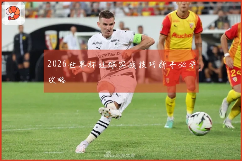 2026世界杯让球实战技巧新手必学攻略