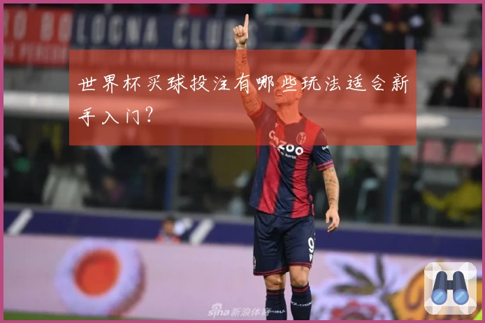 世界杯买球投注有哪些玩法适合新手入门？
