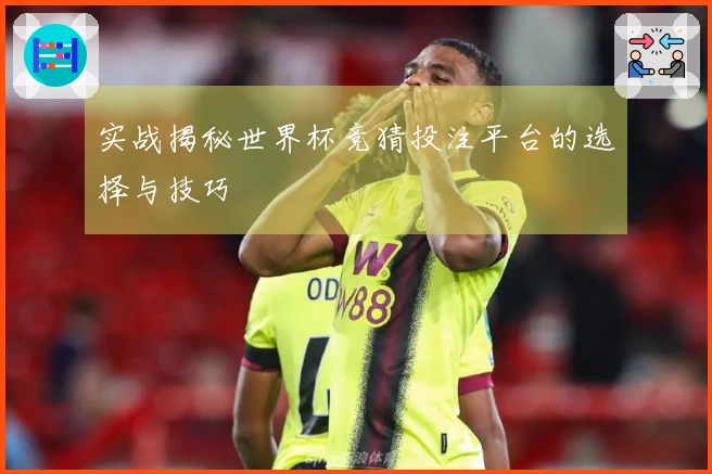 实战揭秘世界杯竞猜投注平台的选择与技巧