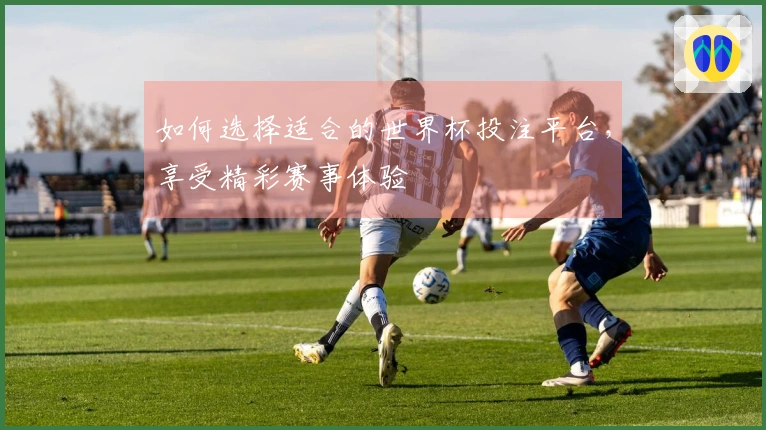 如何选择适合的世界杯投注平台，享受精彩赛事体验